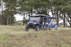 Stook  augustus 2019
